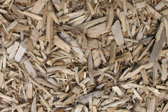 biomass boilers Gortonallister