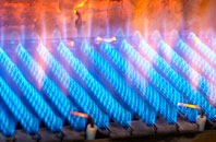 Gortonallister gas fired boilers